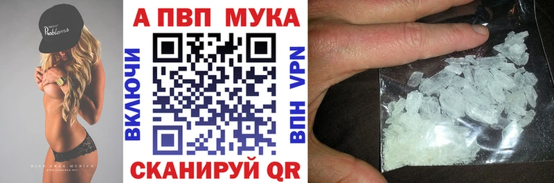 А ПВП СК  Сунжа 