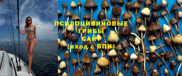 кокс Лагань