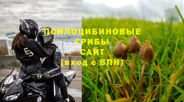 соль курить ск Богородск
