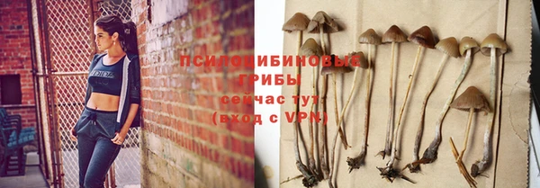соль курить ск Богородск