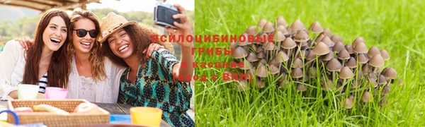 кокс Лагань