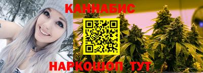 амф Гусев