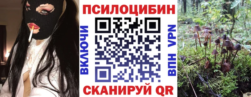 Галлюциногенные грибы Psilocybine cubensis Сунжа