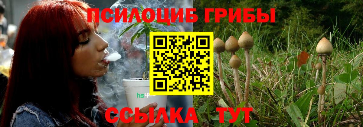 Псилоцибиновые грибы Psilocybine cubensis Сунжа