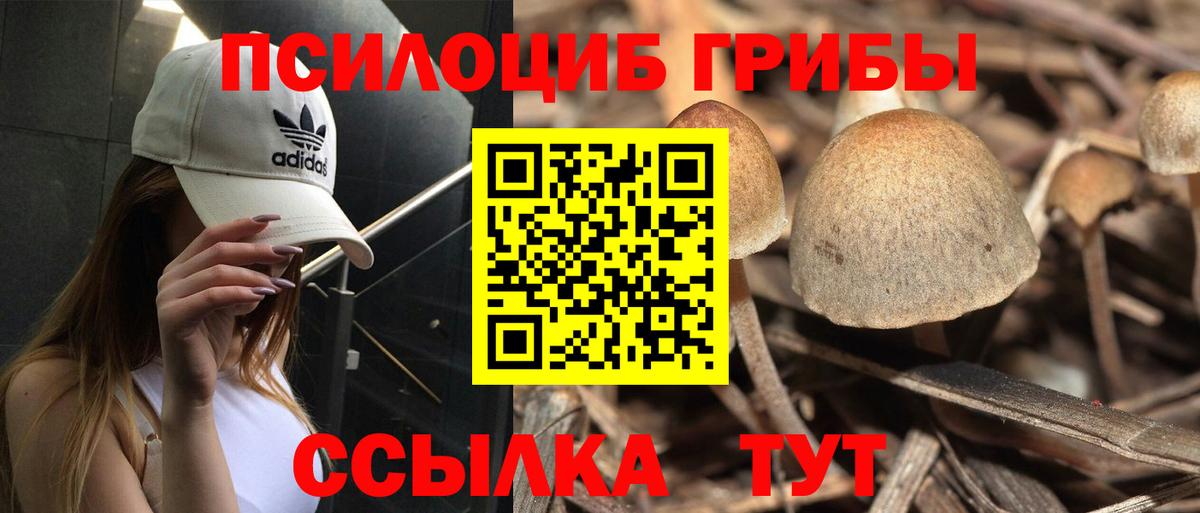 Псилоцибиновые грибы мухоморы  Сунжа  Галлюциногенные грибы мухоморы 