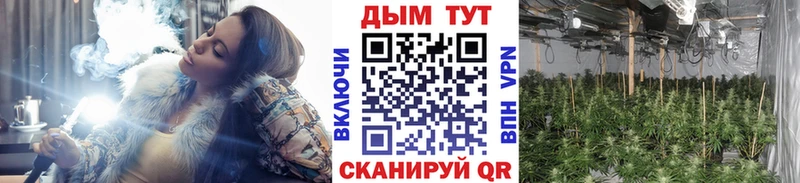 закладки  Сунжа  МАРИХУАНА Ganja 